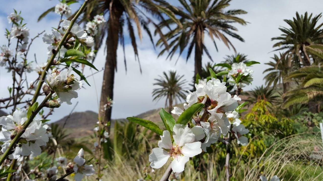 El Pirguan Holiday House, Your Oasis In La Gomera Вальеэрмосо Экстерьер фото