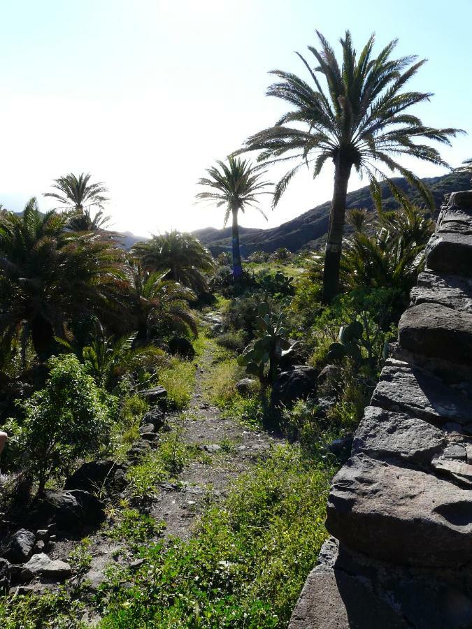 El Pirguan Holiday House, Your Oasis In La Gomera Вальеэрмосо Экстерьер фото